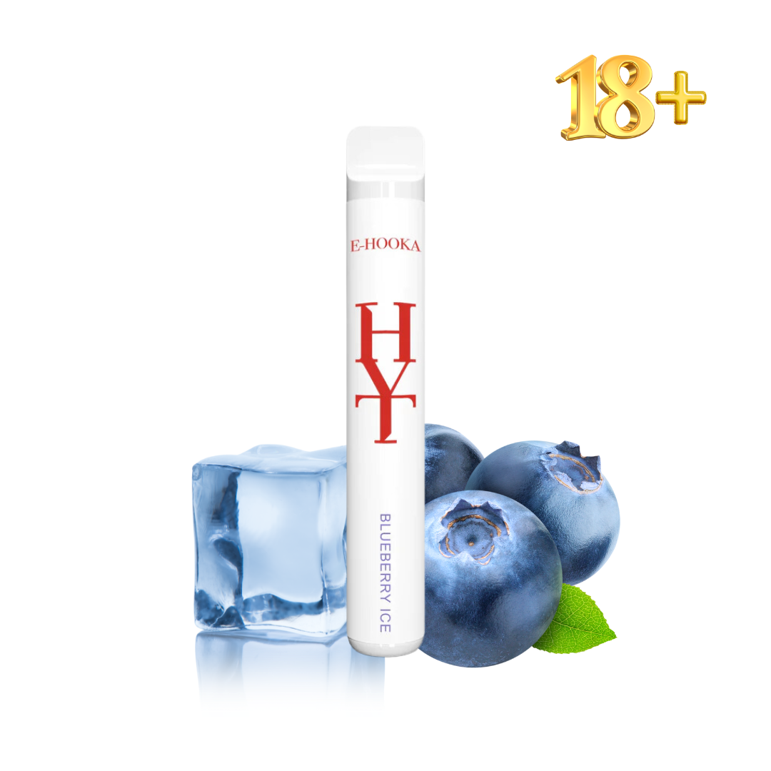 Hayat Blueberry Ice Einweg E-Zigarette